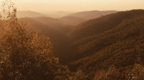 Imagem ilustrativa: Serra do Japi: cachoeiras, trilhas e muita aventura no interior de São Paulo