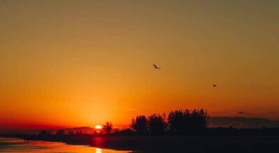 Ilha Comprida: um guia completo do extremo Litoral Sul Paulista