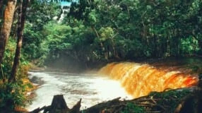 Presidente Figueiredo: conheça o paraíso das cachoeiras no Amazonas