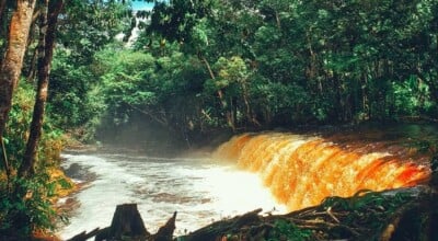 Presidente Figueiredo: conheça o paraíso das cachoeiras no Amazonas