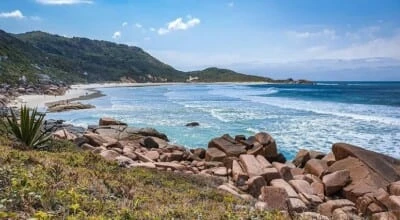 Praia da Galheta: conheça esse paraíso escondido em Florianópolis