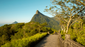 Imagem ilustrativa: Parque Nacional da Tijuca: conheça as melhores trilhas do Rio de Janeiro
