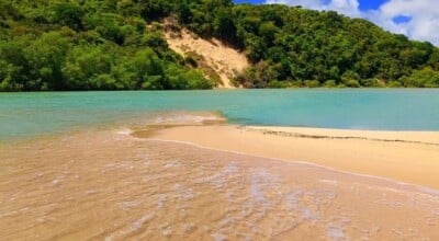 Barra de Camaratuba: viva um encontro único com a natureza na Paraíba