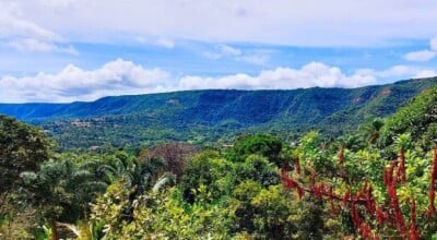 Chapada do Araripe: um guia completo da atração arqueológica nordestina