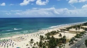 Praia do Pina: saiba como curtir essa charmosa orla urbana de Recife