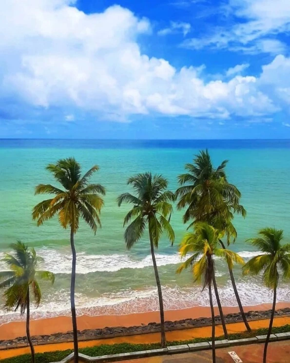 Praia do Pina um guia completo para curtir esse paraíso em Recife Praia do Pina um guia completo para curtir esse paraíso em Recife