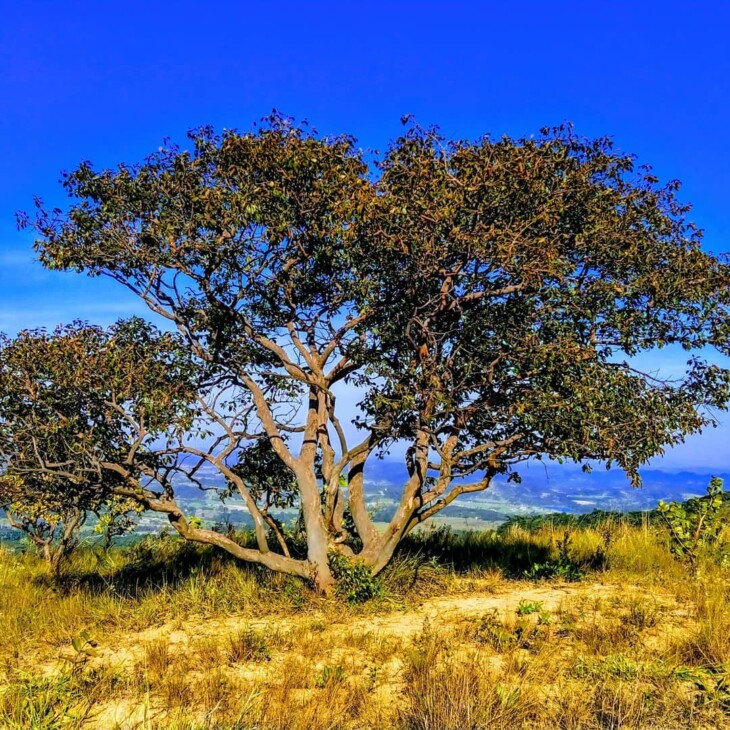 Sete Lagoas 9 passeios para fazer nessa cidade mineira