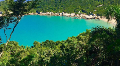 Imagem ilustrativa: Praia da Tainha: um lugar paradisíaco no litoral de Santa Catarina