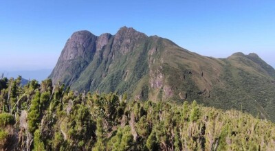 Imagem ilustrativa: 7 dicas para curtir a trilha do Pico Paraná, o ponto mais alto da região sul