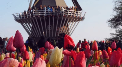 7 passeios imperdíveis em Keukenhof, o maior jardim de flores do mundo
