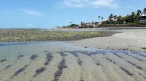 6 motivos para você curtir as belezas da Praia do Coqueiro, no Piauí