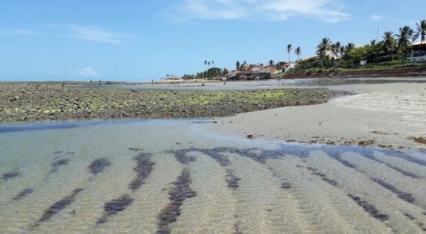 6 motivos para você curtir as belezas da Praia do Coqueiro, no Piauí