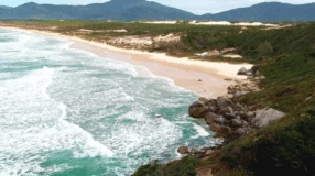 7 passeios na Praia do Moçambique, um destino intocado em Florianópolis