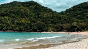 6 atividades para desfrutar o melhor que a Praia Domingas Dias possui