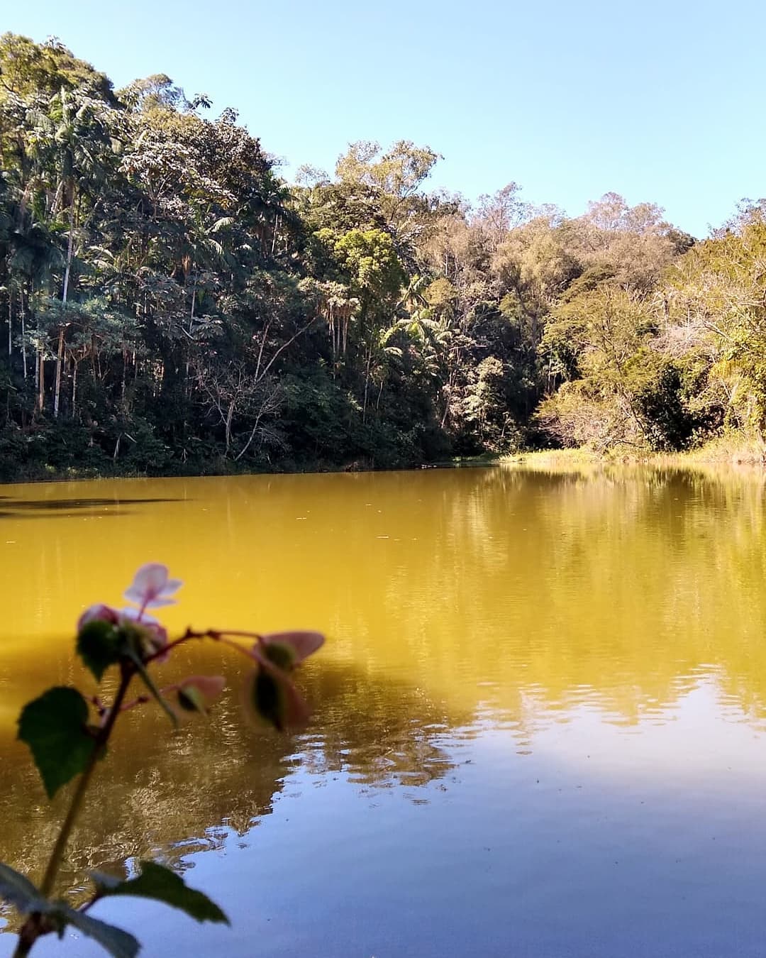 Barra do Piraí: saiba como chegar, o que fazer, dicas e hospedagens