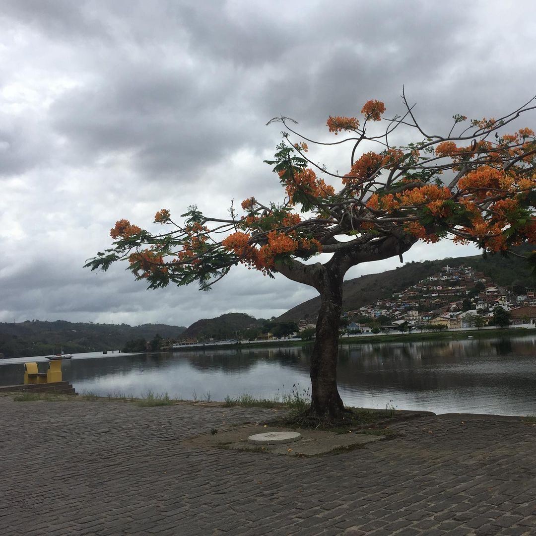 cachoeira-bahia-09