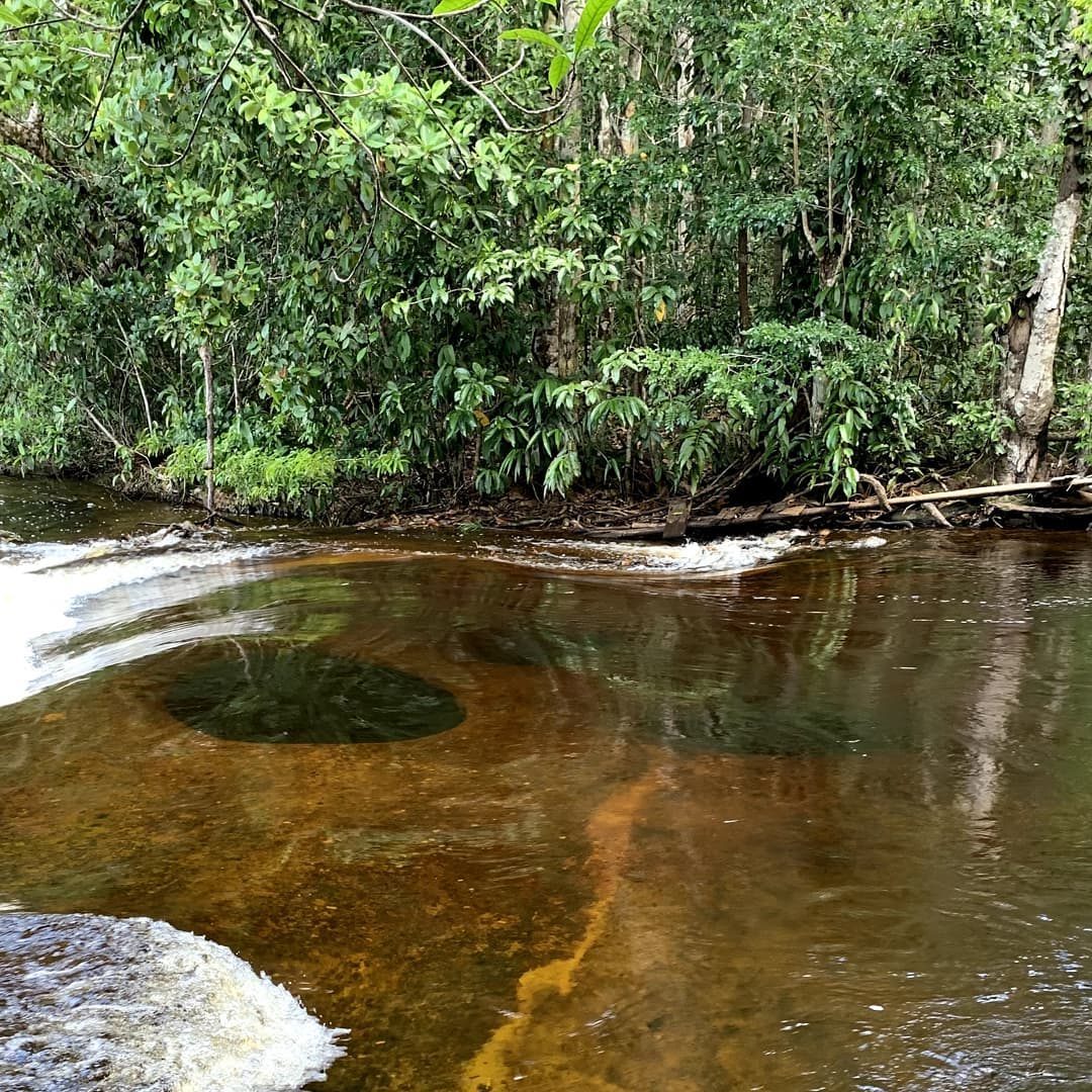 cachoeira-do-mutum-11