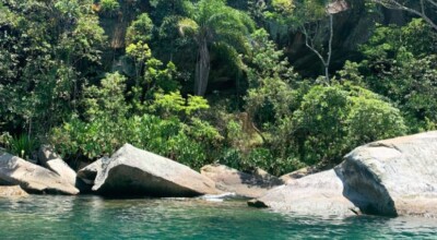 Imagem ilustrativa: 5 maneiras de aproveitar cada minuto na Ilha dos Cocos, em Paraty