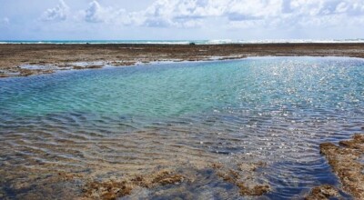 7 dicas para você conhecer as piscinas naturais de Porto de Galinhas