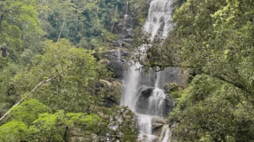7 dicas para aproveitar a cachoeira Salto dos Macacos, em Morretes (PR)