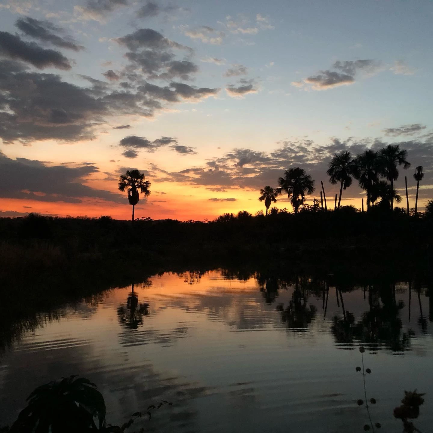 aurora do tocantins