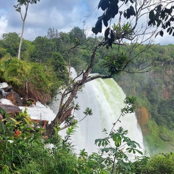 Campo Novo do Parecis onde fica, o que fazer, dicas e informações