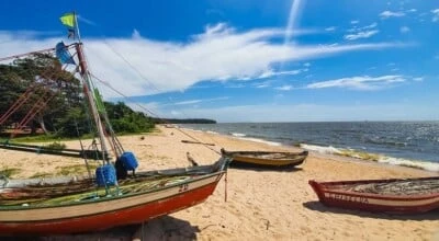 10 atrações para uma viagem inesquecível na Ilha de Marajó, no Pará