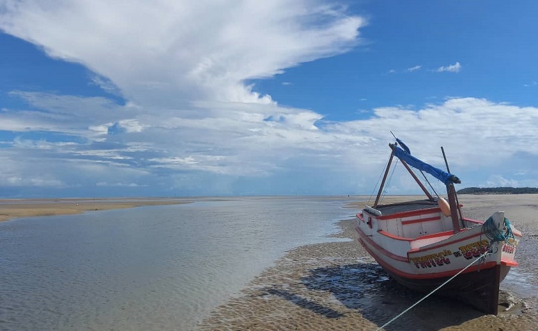 Ilha de Marajó: como ir, onde ficar, melhores atrações e fotos lindas