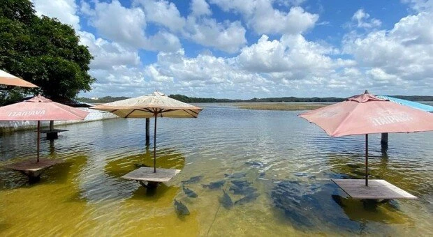 5 razões para conhecer as belezas naturais da Lagoa dos Tambaquis