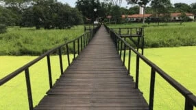 5 passeios para fazer na pequena cidade de Lagoa Santa, em Goiás