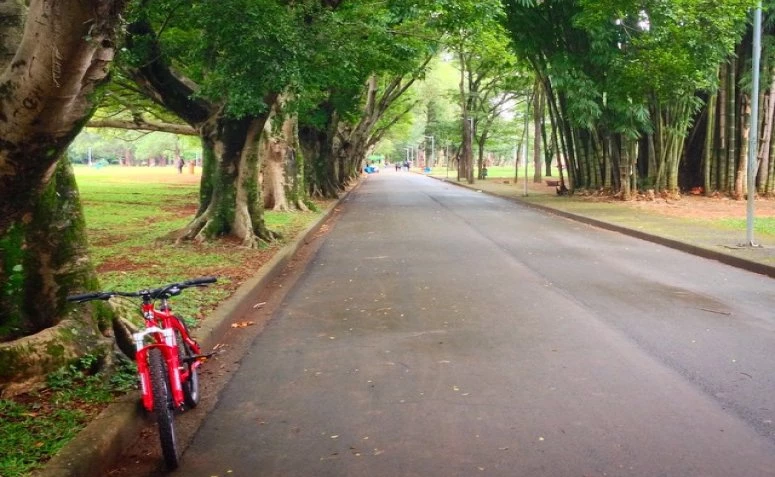 parque-para-andar-de-bicicleta-em-sp-01