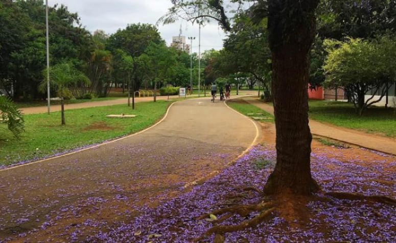 parque-para-andar-de-bicicleta-em-sp-02