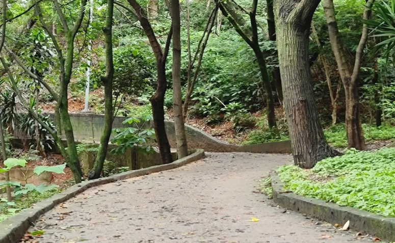 parque-para-andar-de-bicicleta-em-sp-08