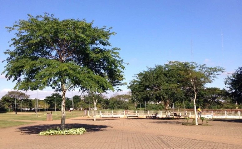 parque-para-andar-de-bicicleta-em-sp-10