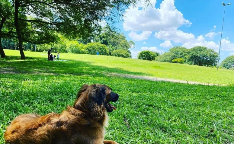 parque-para-andar-de-bicicleta-em-sp-11