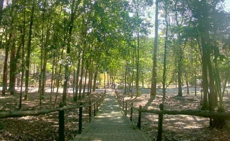 parque-para-andar-de-bicicleta-em-sp-12