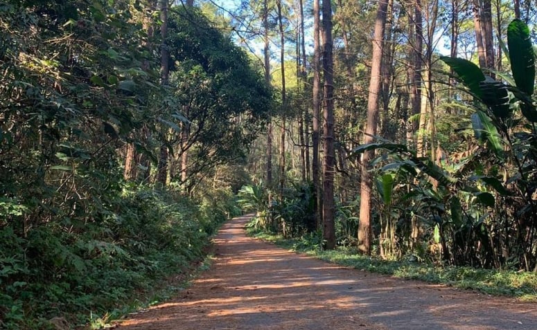 parque-para-andar-de-bicicleta-em-sp-14