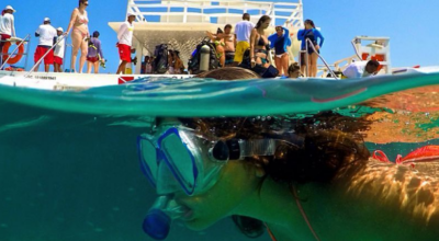 5 passeios em Parrachos de Maracajaú, o caribe nordestino