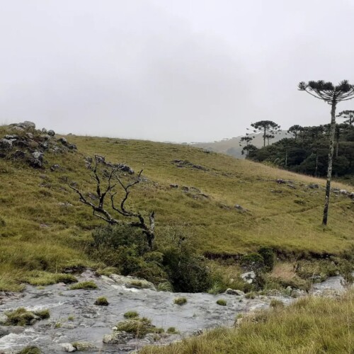 São José dos Ausentes onde fica,
