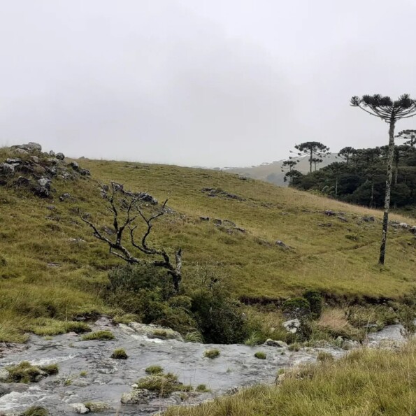 São José dos Ausentes onde fica,