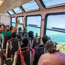 Trem do Corcovado: quanto custa, onde fica, horários e dicas essenciais