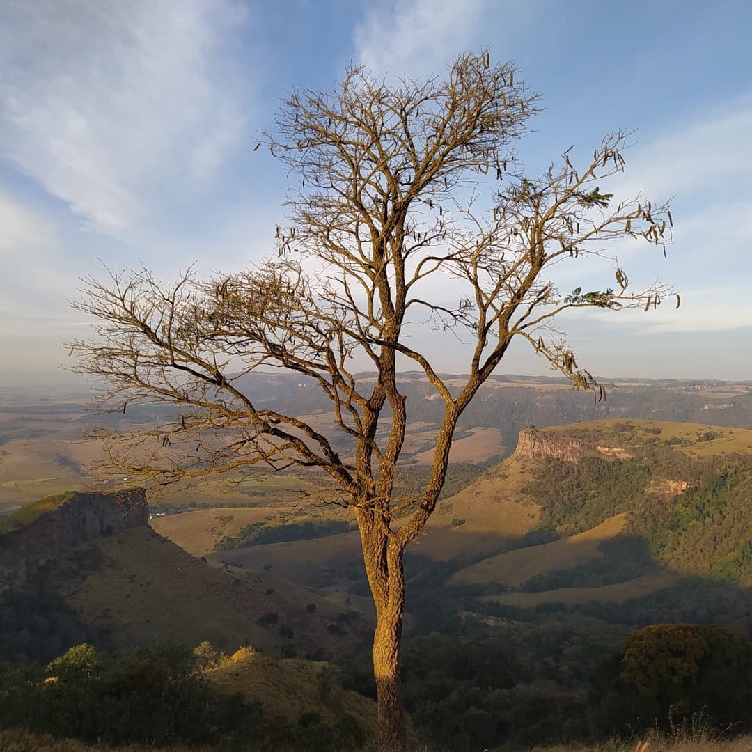 morro-do-fogao-18