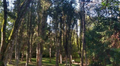 Conheça o Parque Witeck, no Rio Grande do Sul, um espaço de encontro com a natureza
