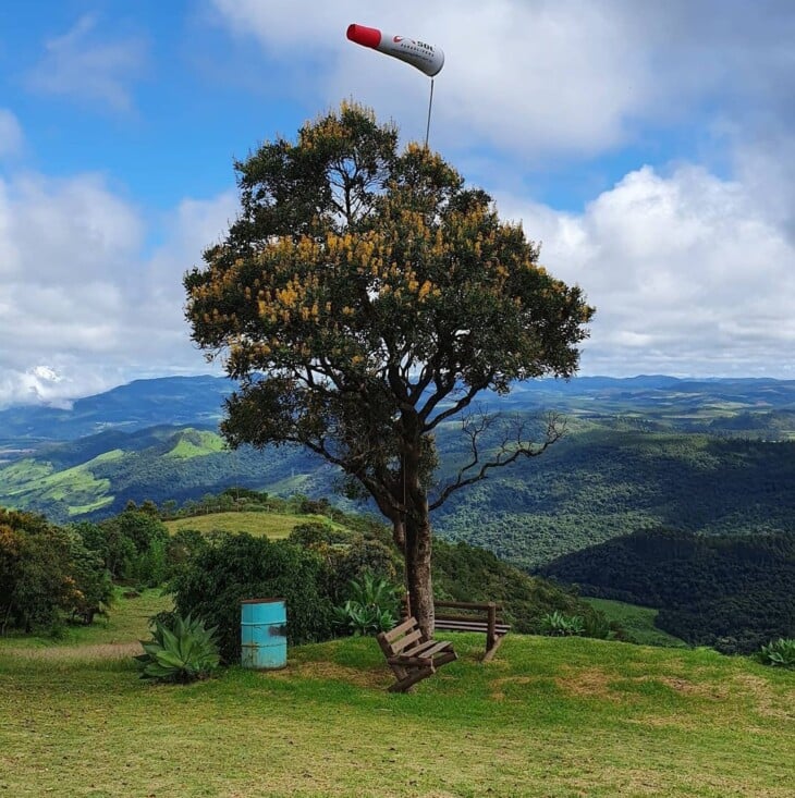 pico do galvão