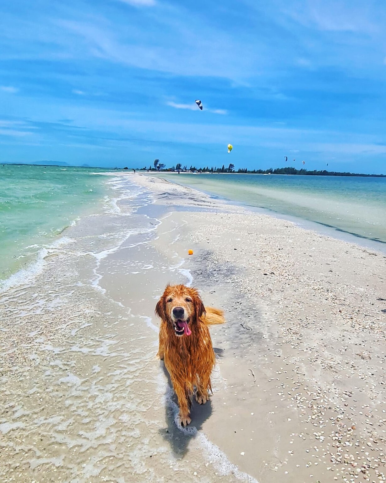 Arraial do Cabo onde fica, dicas, o que fazer, hospedagens, fotos e vídeos Arraial do Cabo onde fica, dicas, o que fazer, hospedagens, fotos e vídeos