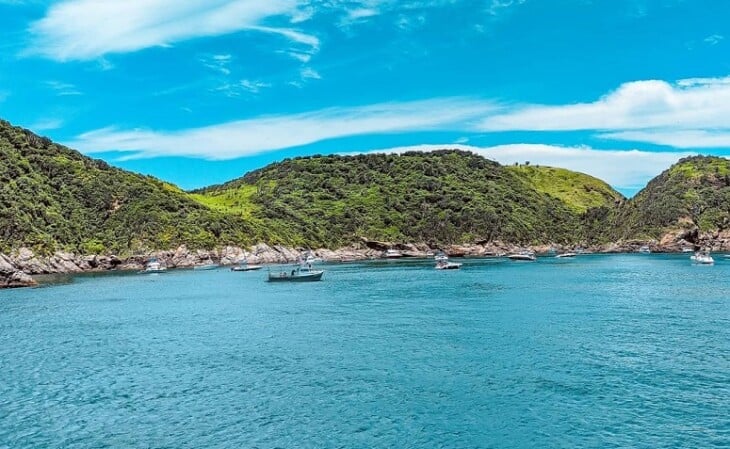 Ilha dos papagaios em Cabo Frio