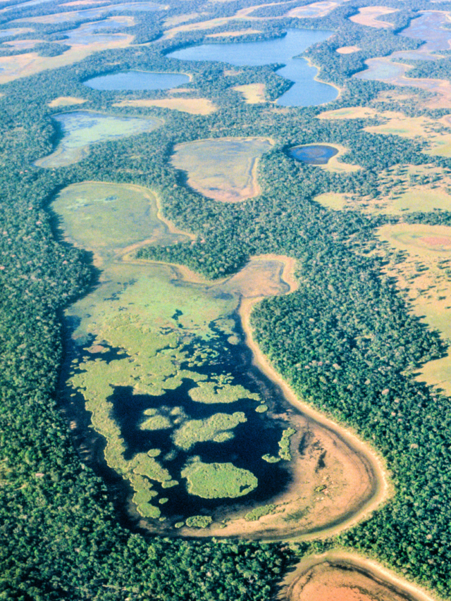 Você vai se convencer a visitar o Pantanal com estes motivos