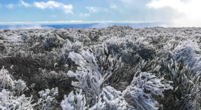 Descubra onde e quando você pode presenciar neve no Brasil