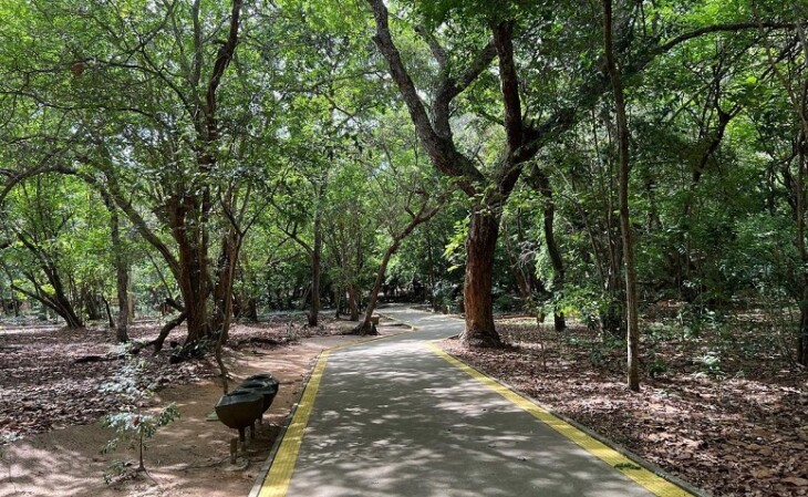 Parque das Dunas em Natal