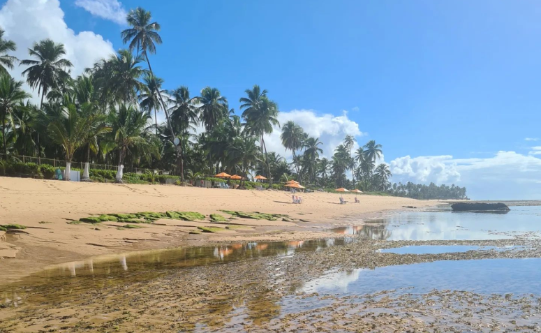 Praia do Forte a partir de Salvador